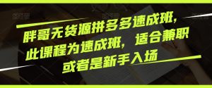 胖哥无货源拼多多速成班，此课程为速成班，适合兼职或者是新手入场-淘金日记