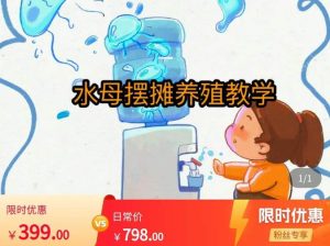 水母摆摊教学,包括摆摊技术、养殖技术、拿货渠道、抖音运营等-淘金日记