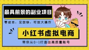 小红书蓝海大市场虚拟电商项目,手把手带你打造出日赚2000+高质量红薯账号-淘金日记