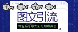 2023年价值1980的图文引流创业粉螺旋起好技术暴力起粉加爆微信-淘金日记