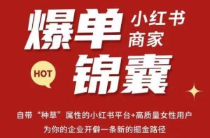 无畏·小红书商家爆单锦囊,掌握小红书各大规则,快速精准抢占行业和市场-淘金日记