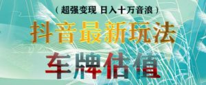抖音最新无人直播变现直播车牌估值玩法项目,轻松日赚几百+【详细玩法教程】-淘金日记