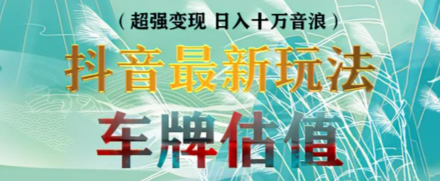 抖音最新无人直播变现直播车牌估值玩法项目,轻松日赚几百+【详细玩法教程】-淘金日记