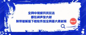 全网中视频另类玩法，都在闷声发大财，附带破解版下载软件加全网最大素材库-淘金日记