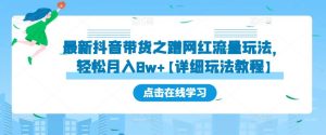 最新抖音带货之蹭网红流量玩法，轻松月入8w+【详细玩法教程】-淘金日记