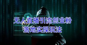 外面收费3980的无人直播引流创业粉落地实操玩法,单日引100+精准创业粉-淘金日记