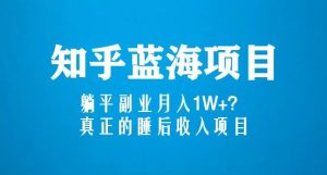 知乎蓝海玩法，躺平副业月入1W+，真正的睡后收入项目（6节视频课）-淘金日记