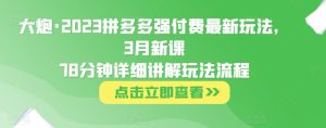 大炮·2023拼多多强付费最新玩法,3月新课78分钟详细讲解玩法流程-淘金日记