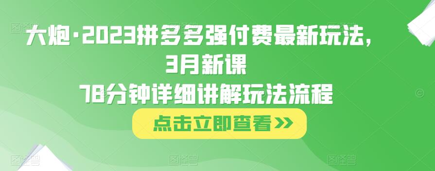 大炮·2023拼多多强付费最新玩法,3月新课78分钟详细讲解玩法流程-淘金日记