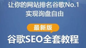 谷歌SEO实战教程:如何让你的网站在谷歌排名第一,内容从入门到高阶,适合个人及团队-淘金日记