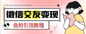微信交友变现项目,吸引全网LSP男粉精准变现,小白也能轻松上手,日入500+-淘金日记