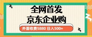 3月最新京东企业购教程，小白可做单人日利润500+撸货项目（仅揭秘）-淘金日记