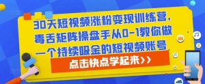 30天短视频涨粉变现训练营，毒舌矩阵操盘手从0-1教你做一个持续吸金的短视频账号-淘金日记