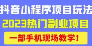 抖音小程序9.0新技巧,2023热门副业项目,动动手指轻松变现-淘金日记