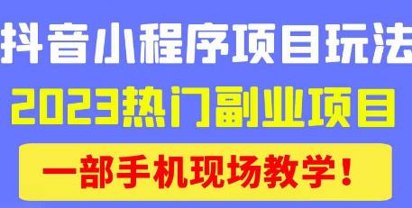 抖音小程序9.0新技巧,2023热门副业项目,动动手指轻松变现-淘金日记