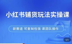 小红书铺货玩法实操课,流量大,竞争小,非常好做,新赛道,可复制性强,可团队操作-淘金日记