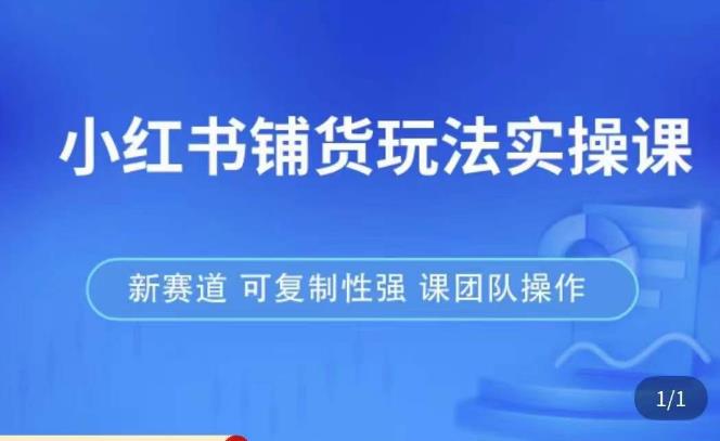 小红书铺货玩法实操课,流量大,竞争小,非常好做,新赛道,可复制性强,可团队操作-淘金日记