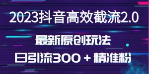 日引300＋创业粉，独家抖音高效截流2.0玩法（价值1280）-淘金日记