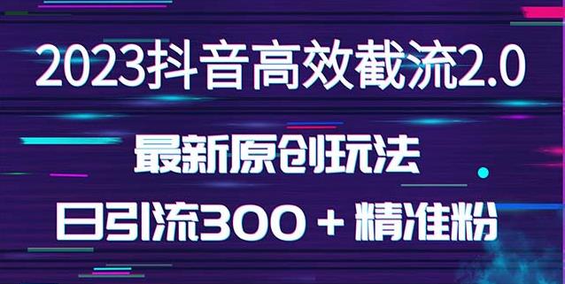 日引300+创业粉,独家抖音高效截流2.0玩法(价值1280)-淘金日记