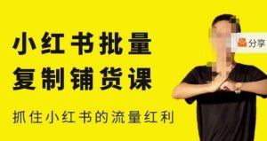 张宾·小红书批量复制铺货课,小红书0-1快速起号变现玩法,抓住小红书的流量红利(更新2023年3月)-淘金日记