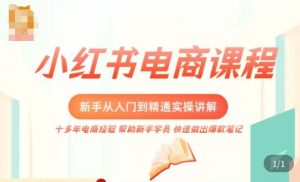 小红书电商新手入门到精通实操课,从入门到精通做爆款笔记,开店运营-淘金日记
