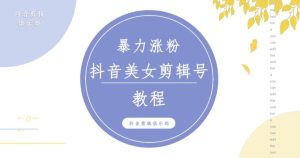 抖音快手暴力涨粉美女混剪视频教程，百分百过原创图片教程！附带违规申诉方法-淘金日记
