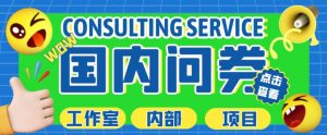 最新工作室内部国内问卷调查项目,单号轻松日入30+多号多撸【详细玩法教程】-淘金日记
