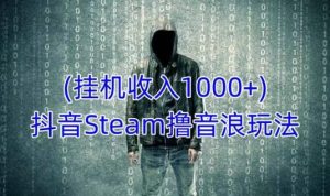 抖音Steam撸音浪玩法,挂机一天收入1000+不露脸 不说话 不封号 社恐人群福音-淘金日记