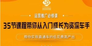 35节课程带你从入门成长为资深车手,让系统学习直通车成为可能,帮你实现直通车的低花费高产出-淘金日记