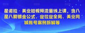 星诺拉·美业短视频流量线上课，含八星八箭镀金公式、定位定全局、美业同城账号案例拆解等-淘金日记