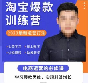 爱上黄昏·淘宝爆款训练营，2023最新运营打法，学习爆款思维，实现利润增长-淘金日记
