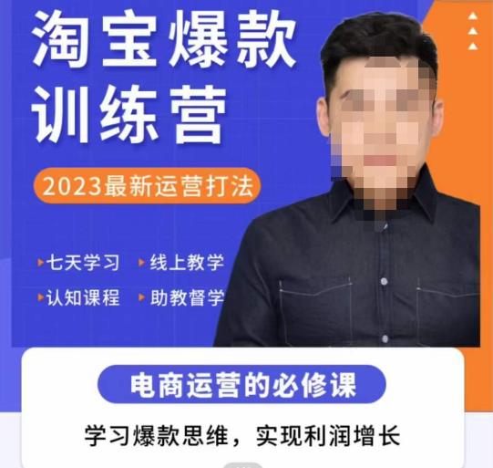 爱上黄昏·淘宝爆款训练营,2023最新运营打法,学习爆款思维,实现利润增长-淘金日记