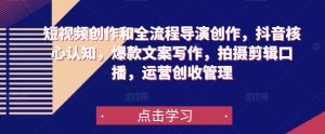 短视频创作和全流程导演创作，抖音核心认知，爆款文案写作，拍摄剪辑口播，运营创收管理-淘金日记