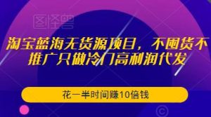 淘宝蓝海无货源项目,不囤货不推广只做冷门高利润代发,花一半时间赚10倍钱-淘金日记