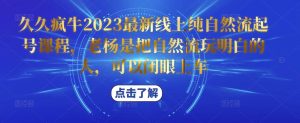 久久疯牛2023最新线上纯自然流起号课程，老杨是把自然流玩明白的人，可以闭眼上车-淘金日记