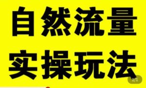拼多多自然流量天花板，拼多多自然流的实操玩法，自然流量是怎么来的，如何开车带来自然流等知识-淘金日记