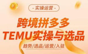 跨境拼多多TEMU实操与选品,掌握平台运营方法技巧,选品避坑12条标准,爆款的底层思路等-淘金日记
