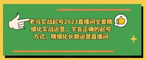 老马实战起号2023直播间全套精细化实战运营,学会正确的起号方式,精细化长期运营直播间-淘金日记