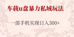 车载u盘暴力私域玩法,长期项目,仅需一部手机实现日入300+-淘金日记