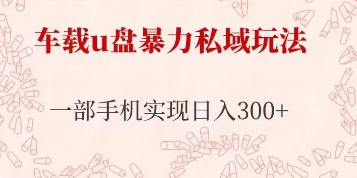 车载u盘暴力私域玩法，长期项目，仅需一部手机实现日入300+-淘金日记