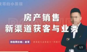 皮哥·房产销售新渠道获客与业务,打造新时代房产经纪达人,助力行业新人成长为业内精英-淘金日记
