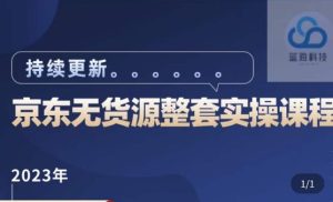 蓝七·2023京东店群整套实操视频教程,京东无货源整套操作流程大总结,减少信息差,有效做店发展-淘金日记