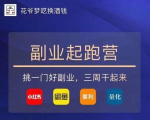 花爷-副业起跑营第2期,挑一门好副业,三周干起来(闲鱼|小红书|量化|套利)-淘金日记