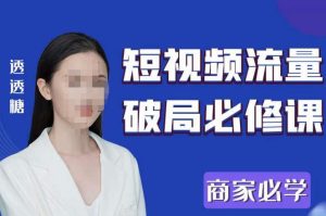 2023最新透糖短视频流量破局必修课——商家必学-淘金日记