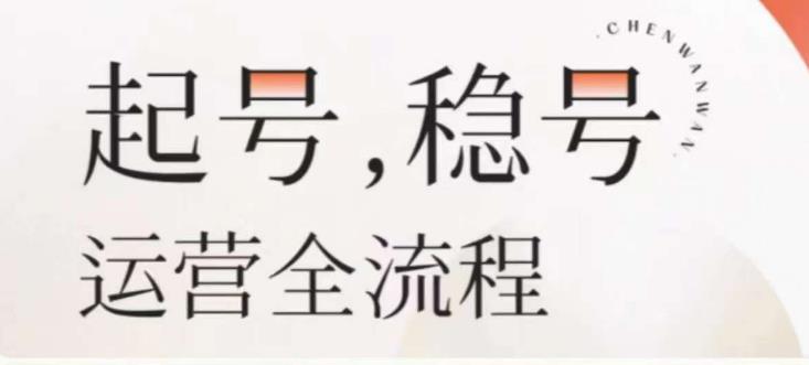 婉婉-起号稳号运营全流程,解决从小白到进阶所有运营知识,帮助解决账号所有运营难题-淘金日记