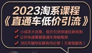 2023直通车低价引流玩法课程，小成本大流量，低价引流快速拉新收割，让你快速掌握直通车突破瓶颈-淘金日记
