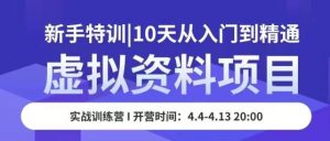 虚拟资料项目新手特训，10天从入门到精通，保姆级实操教学-淘金日记