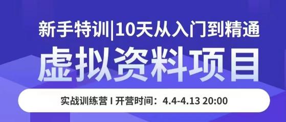 虚拟资料项目新手特训,10天从入门到精通,保姆级实操教学-淘金日记