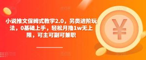 小说推文保姆式教学2.0，另类进阶玩法，0基础上手，轻松月撸1w无上限，可主可副可兼职-淘金日记