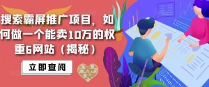 搜索霸屏推广项目,如何做一个能卖10万的权重6网站(揭秘)-淘金日记